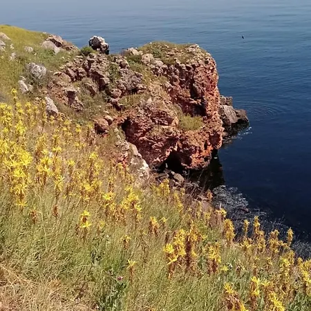 стойчеви *