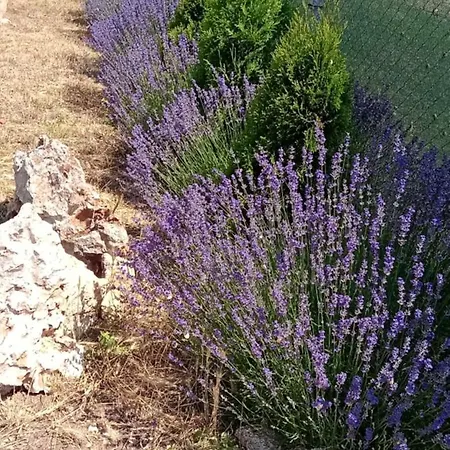 стойчеви Villa Bozhurets