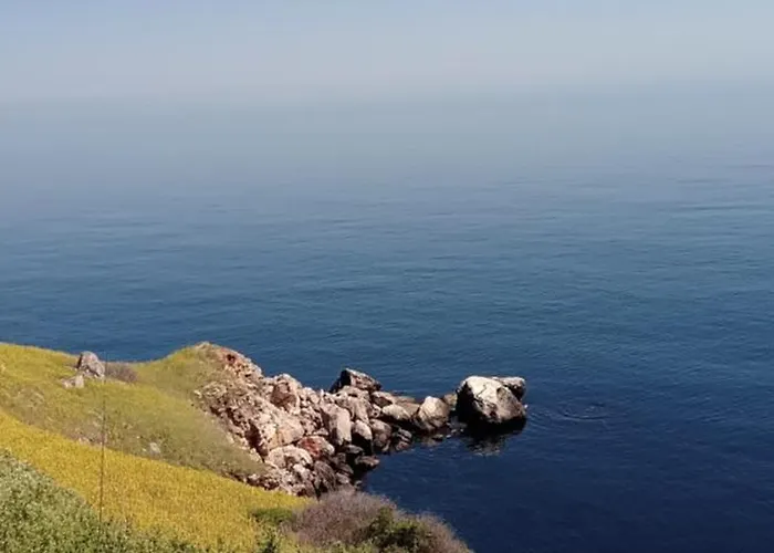 стойчеви Божурец