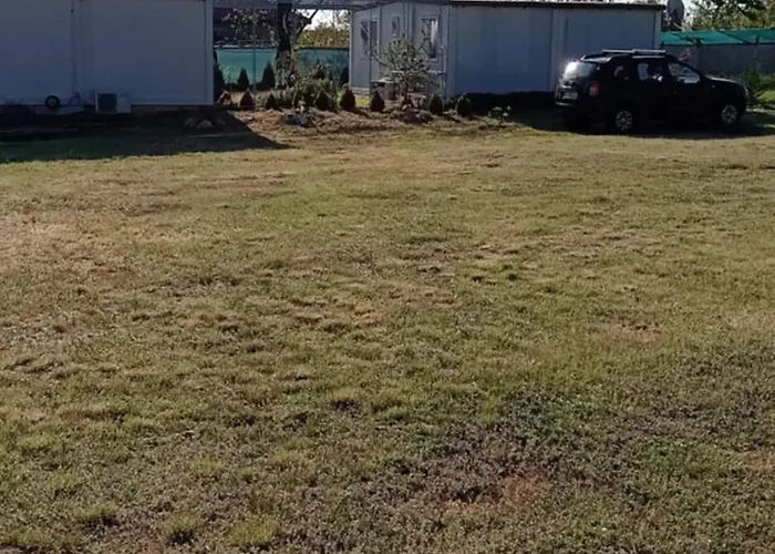 стойчеви * Божурец